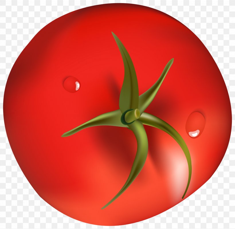 Tomato Vegetable Food Clip Art, PNG, 3000x2933px, Tomato, Food, Fruit, Nightshade, Nightshade Family Download Free
