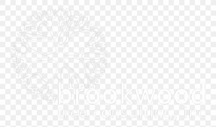 White Line Art Sketch, PNG, 1156x685px, White, Area, Artwork, Black And White, Drawing Download Free