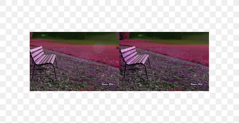 Bench Garden Furniture Lawn, PNG, 615x424px, Bench, Field, Furniture, Garden Furniture, Grass Download Free