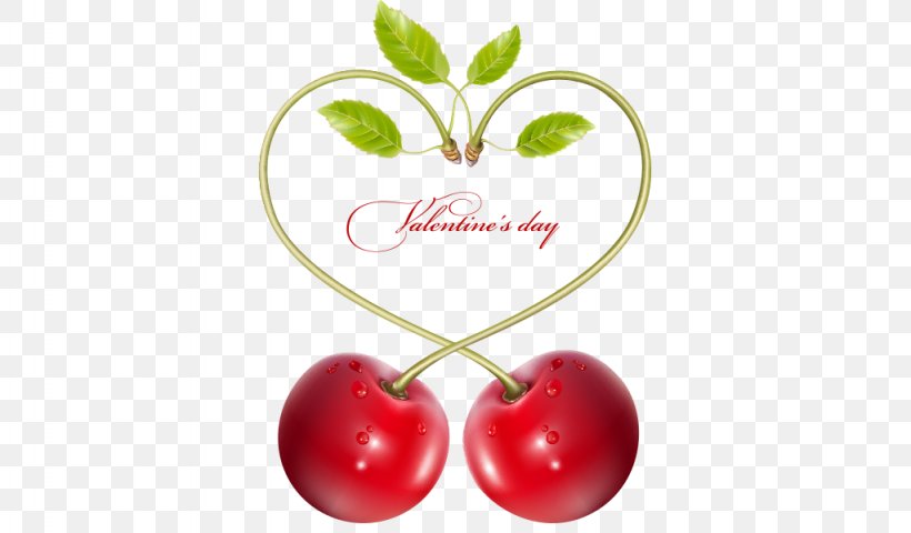 Cherry Blossom Illustration, PNG, 1024x600px, Cherry, Blossom, Cherry Blossom, Food, Fruit Download Free