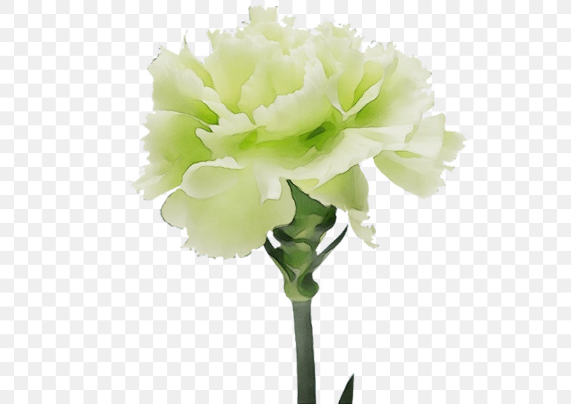 Artificial Flower, PNG, 559x580px, Watercolor, Artificial Flower, Bouquet, Carnation, Cut Flowers Download Free