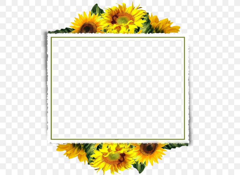 Common Sunflower Picture Frames Clip Art, PNG, 600x600px, Common Sunflower, Art, Cut Flowers, Daisy Family, Decoupage Download Free