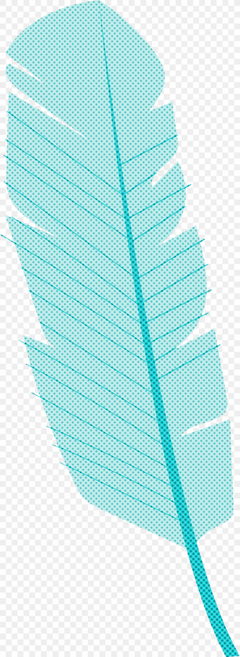 Leaf Turquoise Line Plants Biology, PNG, 1280x3497px, Leaf, Biology, Line, Plant Structure, Plants Download Free