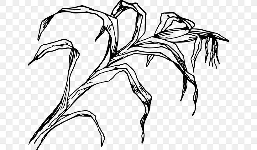 Black And White Flower, PNG, 640x480px, Drawing, Black And White, Blackandwhite, Branch, Cartoon Download Free