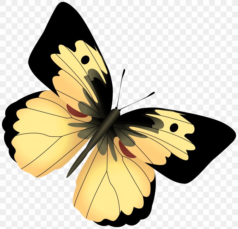 Monarch Butterfly Yellow Clip Art, PNG, 6041x5806px, Papillon Dog, Animal, Arthropod, Black And White, Brush Footed Butterfly Download Free