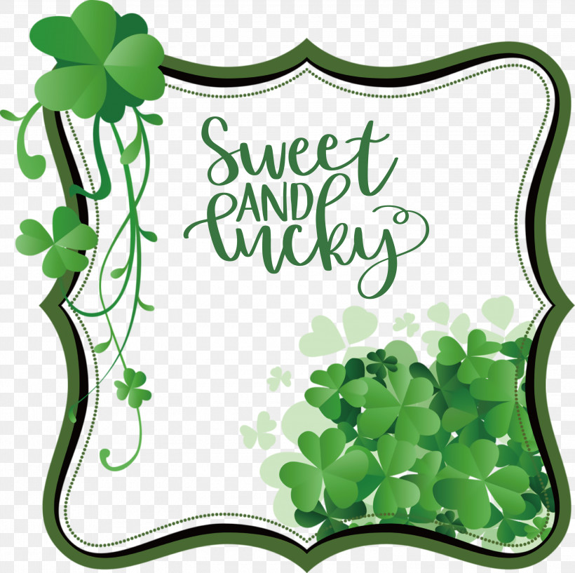 Sweet And Lucky St Patricks Day, PNG, 3000x2992px, St Patricks Day, Clover, Fourleaf Clover, Logo, Luck Download Free