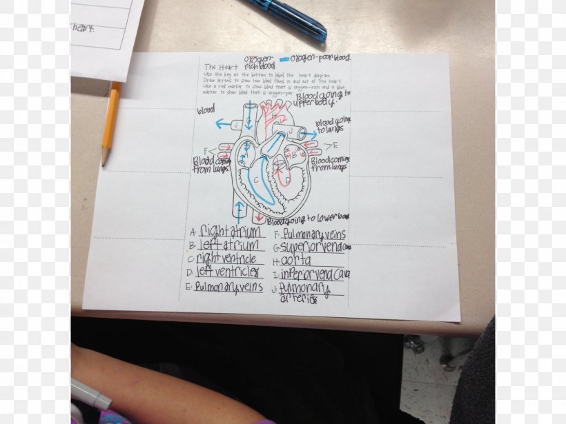 Biology Cell Science Life Human Body, PNG, 1600x1200px, Biology, Biome, Cell, Ecology, Human Body Download Free