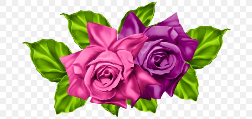 Garden Roses Floral Design Cut Flowers, PNG, 700x388px, Garden Roses, Annual Plant, Cabbage Rose, Cut Flowers, Floral Design Download Free