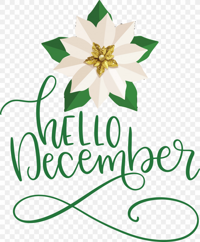 Hello December Winter, PNG, 2478x3000px, Hello December, Cut Flowers, Floral Design, Flower, Gift Download Free