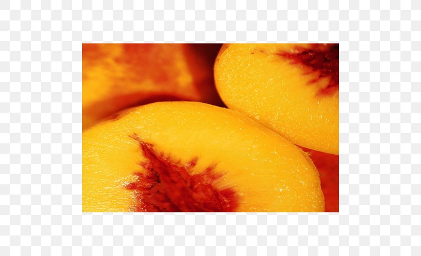 Peach Juice Nectar Auglis Fruit, PNG, 500x500px, Peach, Auglis, Brain, Close Up, Concentrate Download Free