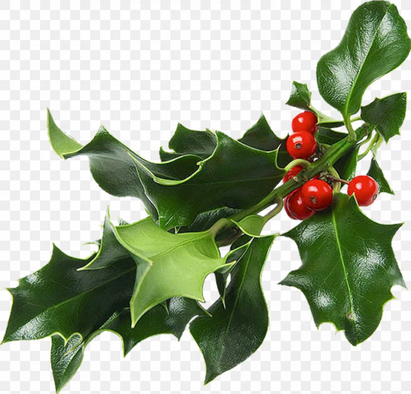 Christmas And Holiday Season Mistletoe Christmas Decoration Gift, PNG, 954x915px, Christmas, Aquifoliaceae, Aquifoliales, Candle, Christmas And Holiday Season Download Free
