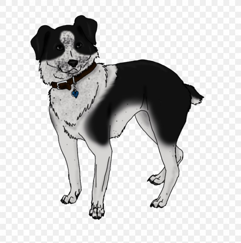 Dog Breed Companion Dog Leash Snout, PNG, 891x897px, Dog Breed, Breed, Carnivoran, Companion Dog, Dog Download Free