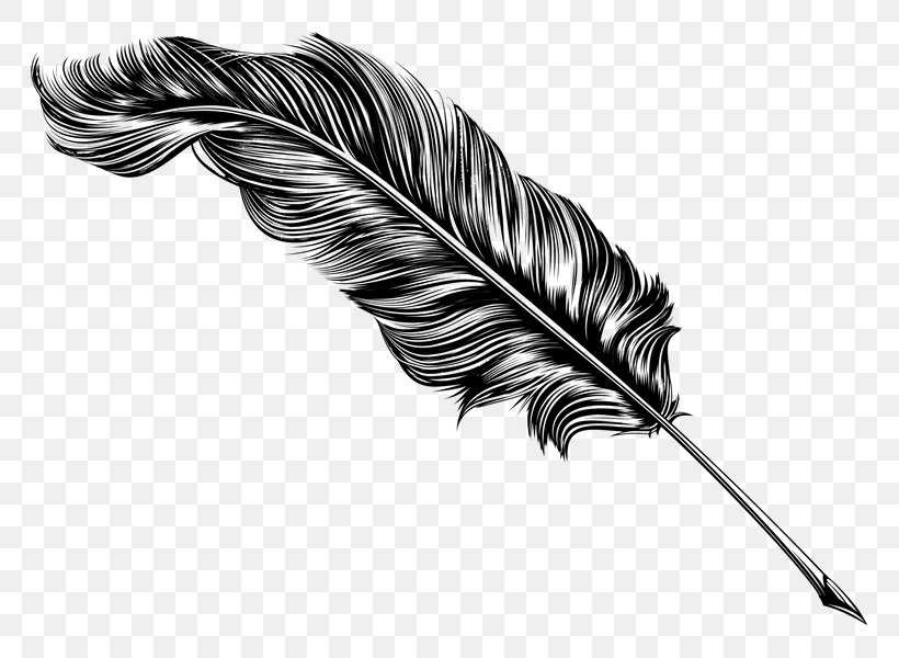 Quill Pen Stock Photography Paper Inkwell, PNG, 800x600px, Quill, Black And White, Drawing, Feather, Fountain Pen Download Free