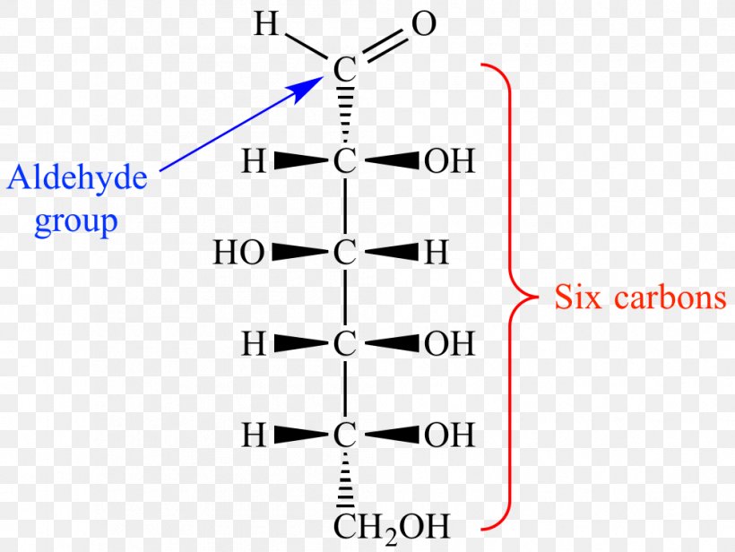 Aldohexose Allose Ketohexose Monosaccharide, PNG, 1005x755px, Aldohexose, Aldehyde, Aldose, Allose, Altrose Download Free