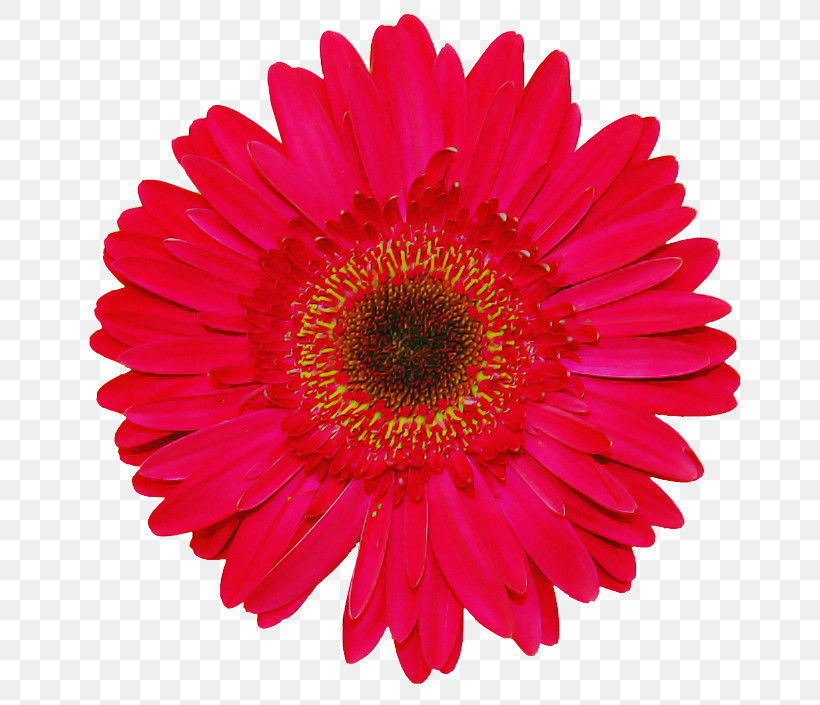 Artificial Flower, PNG, 675x705px, Flower, Annual Plant, Artificial Flower, Aster, Asterales Download Free