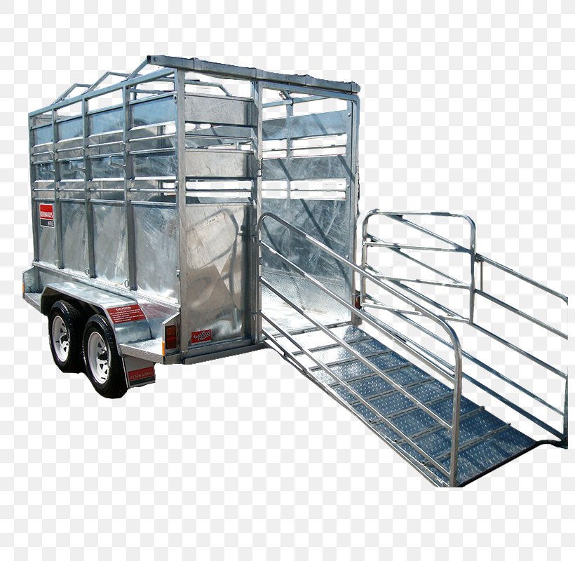 Cattle Ifor Williams Trailers Car Livestock, PNG, 800x800px, Cattle, Automotive Exterior, Bicycle, Campervans, Car Download Free