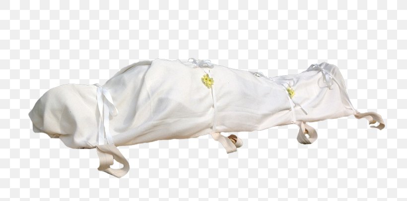 Natural Burial Shroud Cremation Coffin, PNG, 800x406px, Natural Burial, Animal Figure, Burial, Cadaver, Coffin Download Free