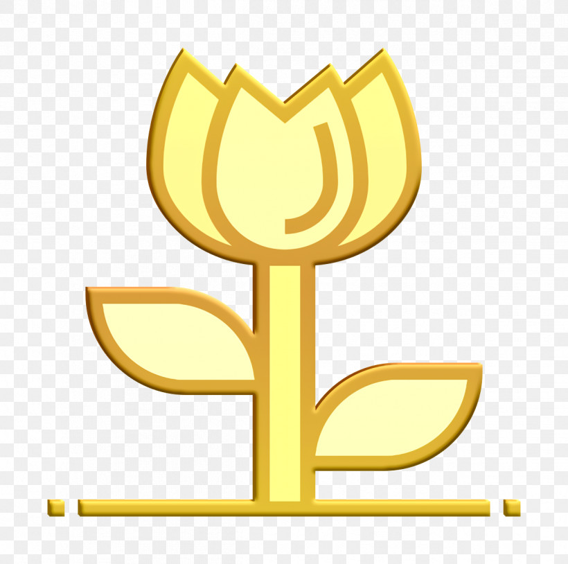 Party Icon Flower Icon, PNG, 1196x1188px, Party Icon, Computer, Flower Icon, Logo, M Download Free