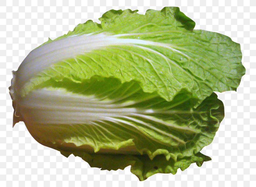 Romaine Lettuce Spring Greens Collard Greens Chinese Cabbage Vegetable, PNG, 800x600px, Romaine Lettuce, Black Mustard Seed, Bok Choi, Brassica, Cabbage Download Free