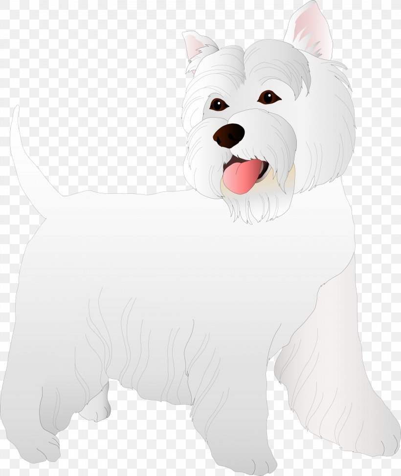 West Highland White Terrier Dog Breed Puppy Companion Dog, PNG, 3426x4075px, West Highland White Terrier, Animal, Breed, Canidae, Carnivora Download Free