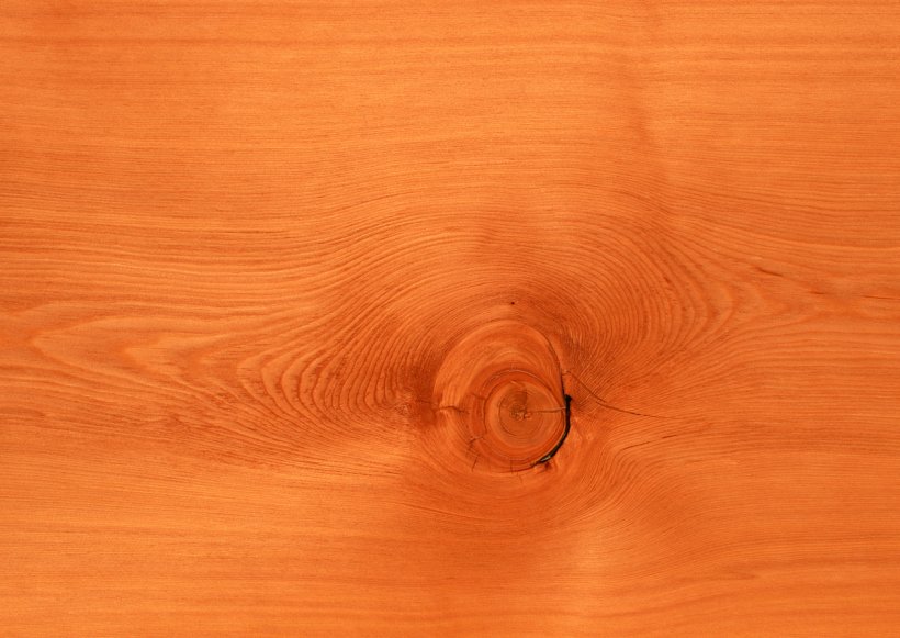 Wood Stain Floor Varnish Hardwood Close-up, PNG, 1264x897px, Wood Stain, Close Up, Closeup, Floor, Flooring Download Free