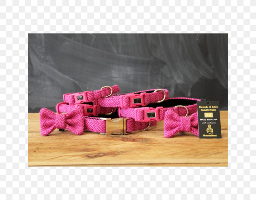 Dog Collar Clothing Accessories Fashion, PNG, 640x640px, Dog, Clothing Accessories, Collar, Dog Collar, Fashion Download Free