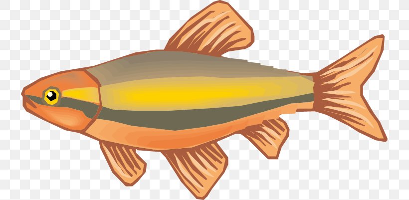 Fish Drawing Cartoon, PNG, 735x401px, Fish, Animal Source Foods, Animation, Cartoon, Dessin Animxe9 Download Free