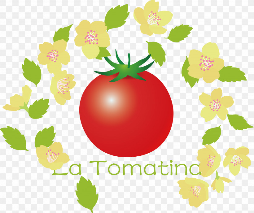 La Tomatina Tomato Throwing Festival, PNG, 3000x2518px, La Tomatina, Apple, Biology, Flower, Meter Download Free