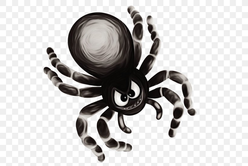 Tarantula Spider Octopus Arachnid Black-and-white, PNG, 535x550px, Watercolor, Arachnid, Blackandwhite, Octopus, Paint Download Free