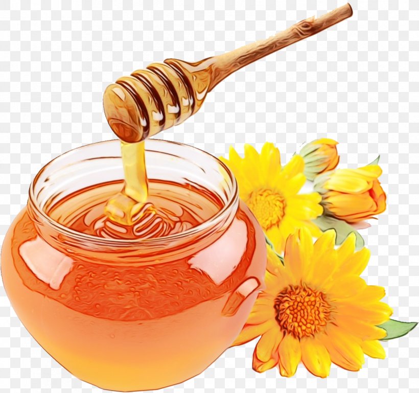 Web Design, PNG, 1265x1187px, Watercolor, Bee, Camomile, Chrysanthemum Tea, Cuisine Download Free