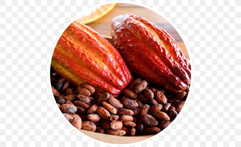 Cacao Tree Chocolate Food Cocoa Bean Bitterness, PNG, 500x500px, Cacao Tree, Bitterness, Chocolate, Cocoa Bean, Commodity Download Free