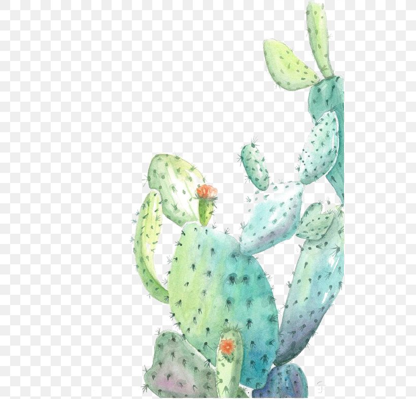 Cactaceae Watercolor Painting Illustration, PNG, 537x785px, Cactaceae, Amphibian, Art, Cactus, Desert Download Free