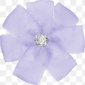 Ribbon - Decoratie Ribbon Internet Clothing Accessories Charms & Pendants PNG