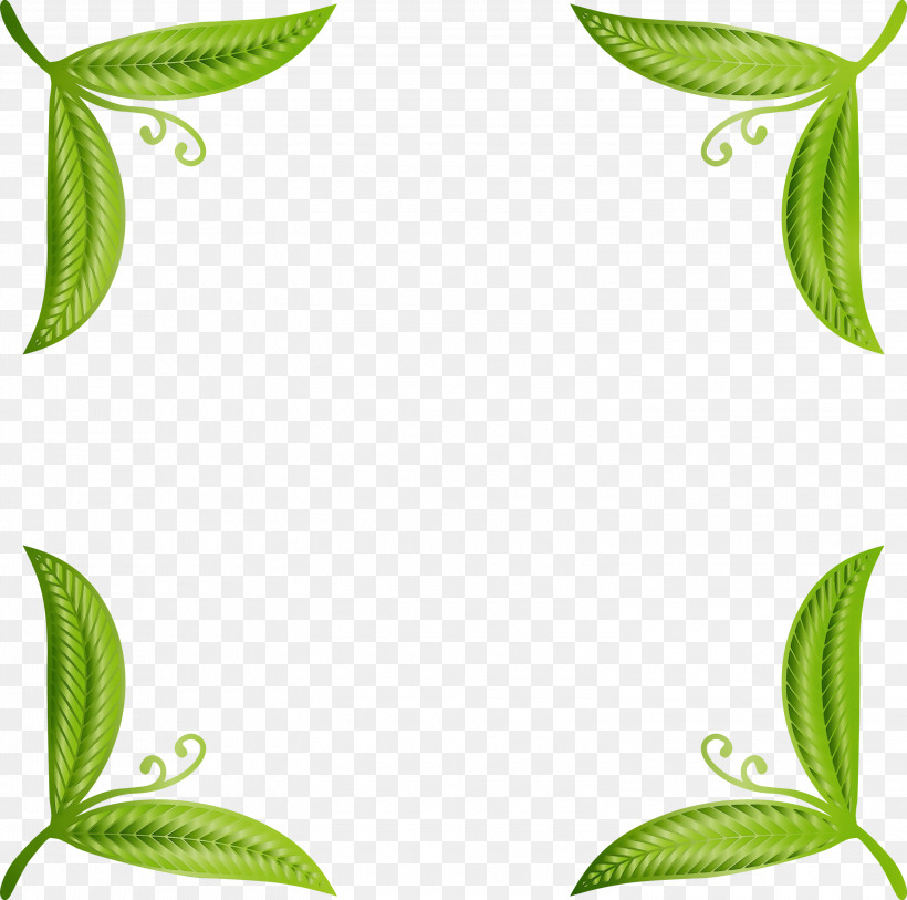 Picture Frame, PNG, 3000x2975px, Frame, Flower, Green, Leaf, Paint Download Free