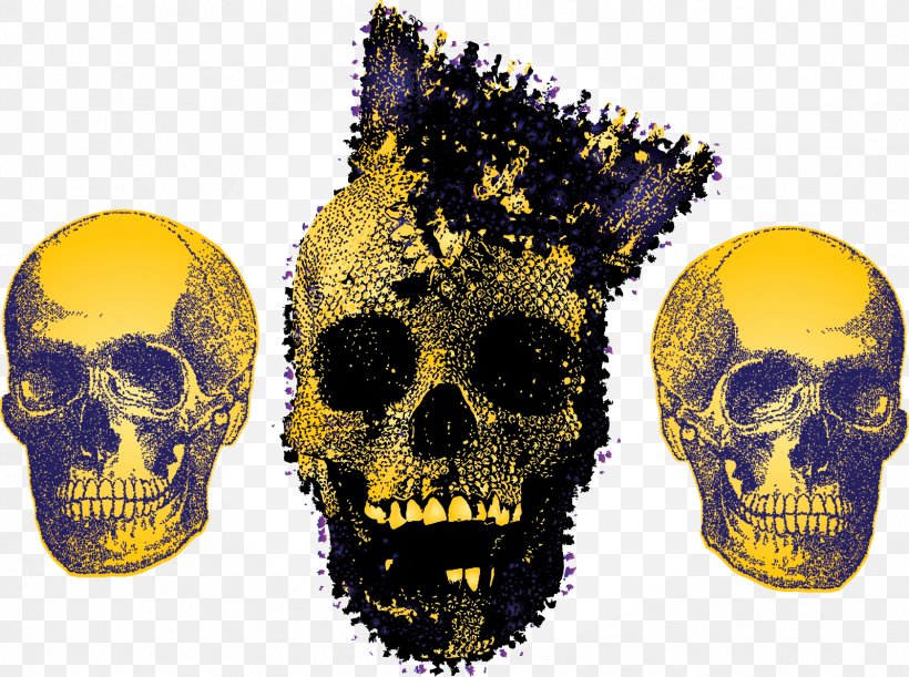 Skull Calavera, PNG, 1598x1191px, Skull, Art, Bone, Calavera, Coreldraw Download Free