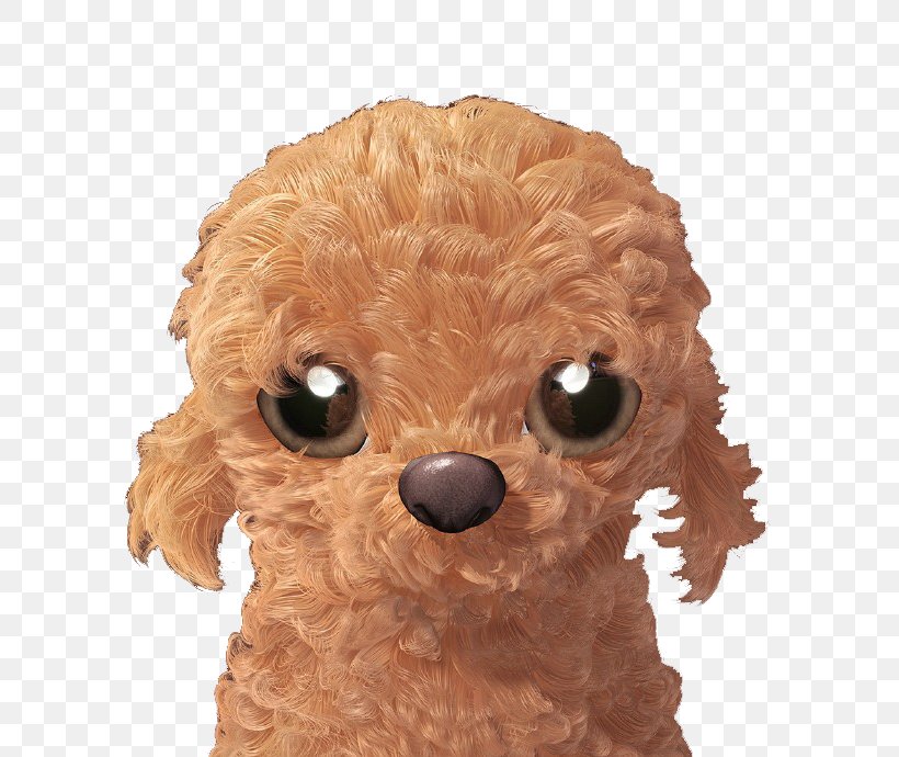 Toy Poodle Miniature Poodle Puppy Dog Breed, PNG, 690x690px, Watercolor, Cartoon, Flower, Frame, Heart Download Free