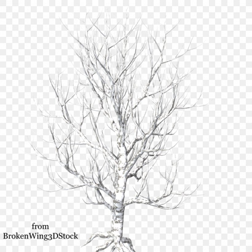Tree Branch Photography Clip Art, PNG, 894x894px, Tree, Black And White, Branch, Drawing, Flowering Plant Download Free