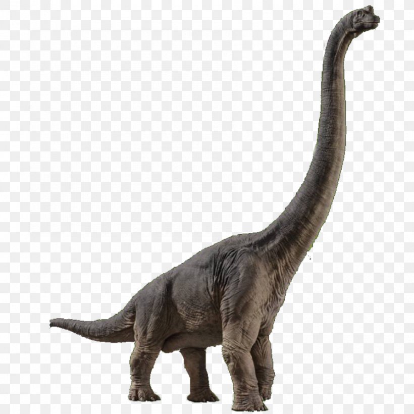 Brachiosaurus Velociraptor Spinosaurus Jurassic Park Builder Jurassic World Evolution, PNG, 894x894px, Brachiosaurus, Animal Figure, Dinosaur, Extinction, Fauna Download Free