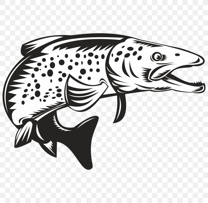Brook Trout Sea Trout Clip Art, PNG, 800x800px, Brook Trout, Black, Black And White, Brown Trout, Carnivoran Download Free