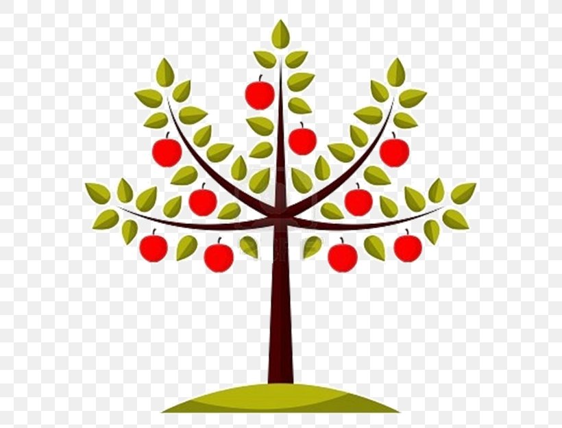 Clip Art Apple Openclipart Fruit Tree, PNG, 613x625px, Apple, Branch, Cherry, Christmas Decoration, Christmas Ornament Download Free
