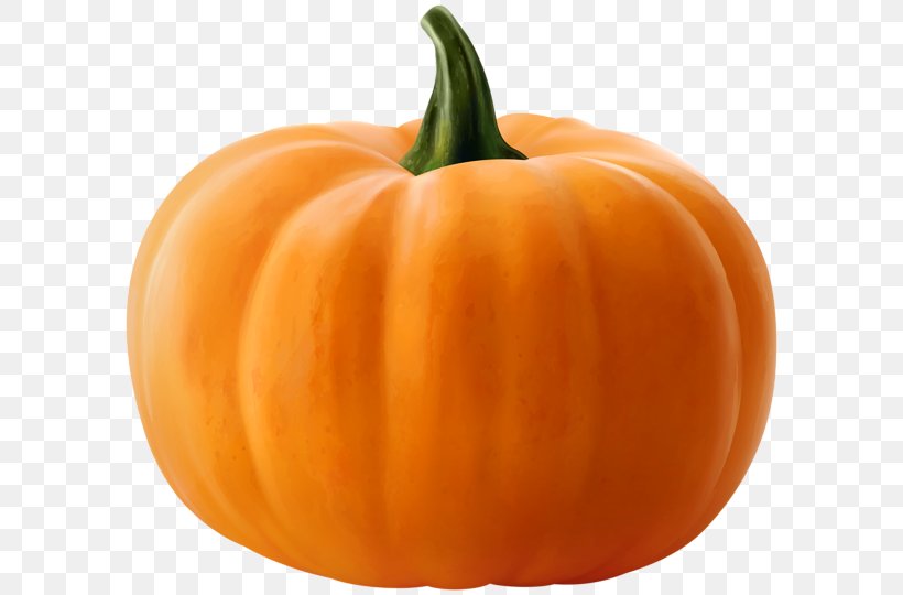 Jack-o'-lantern Pumpkin Clip Art Stock Photography Image, PNG, 600x540px, Jackolantern, Bell Pepper, Bell Peppers And Chili Peppers, Calabaza, Capsicum Download Free