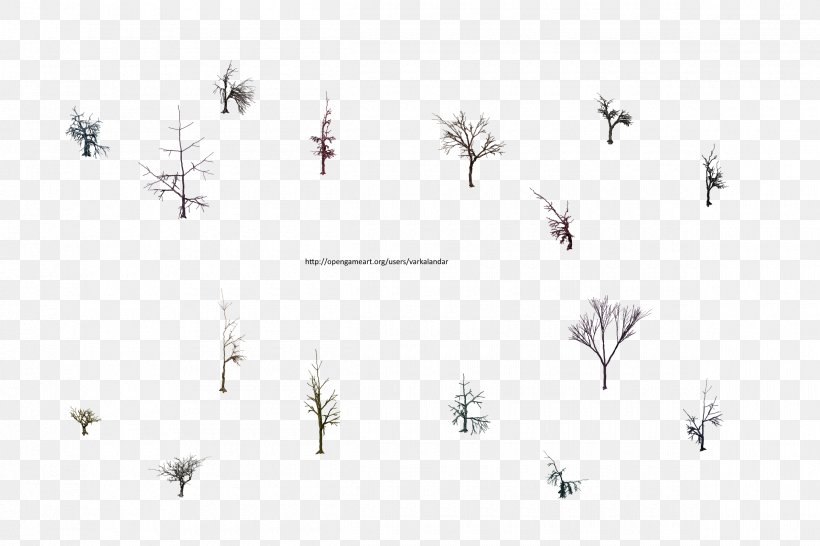 Line Point Angle White Font, PNG, 2400x1600px, Point, Bird, Black And White, Grass, Plant Download Free