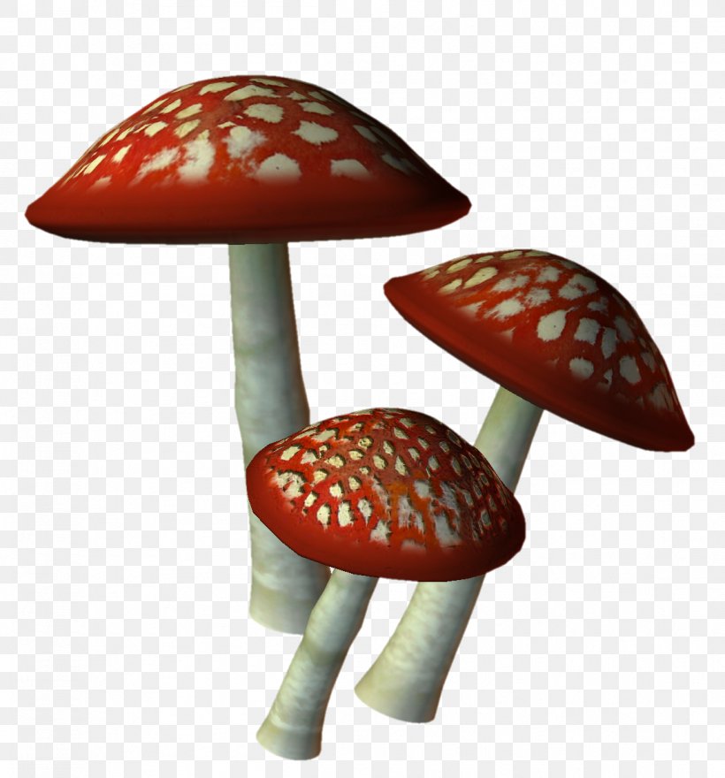 Mushroom, PNG, 1146x1230px, Mushroom, Furniture, Google Images, Image File Formats, Photography Download Free