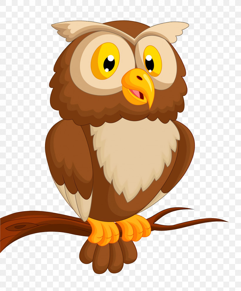 Owl Bird Cartoon Bird Of Prey Beak, PNG, 1652x2000px, Owl, Beak, Bird, Bird Of Prey, Cartoon Download Free