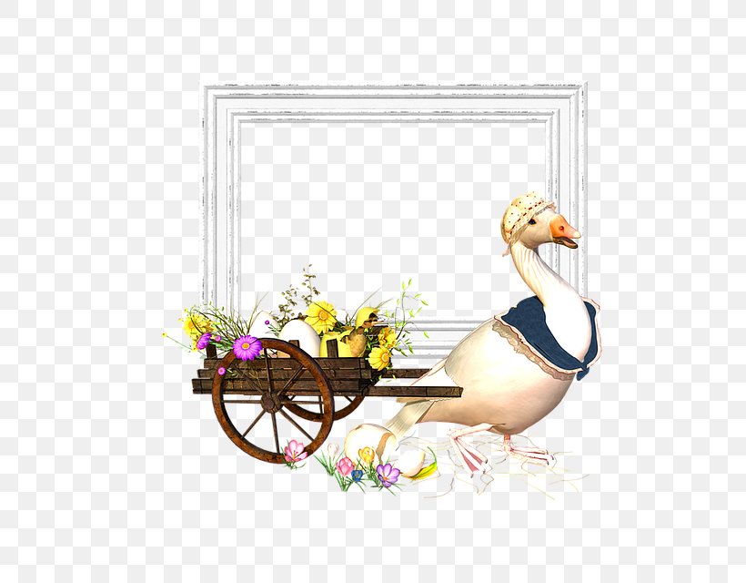 Picture Frames Scrapbooking Easter, PNG, 640x640px, Picture Frames, Bird, Blog, Duck, Ducks Geese And Swans Download Free