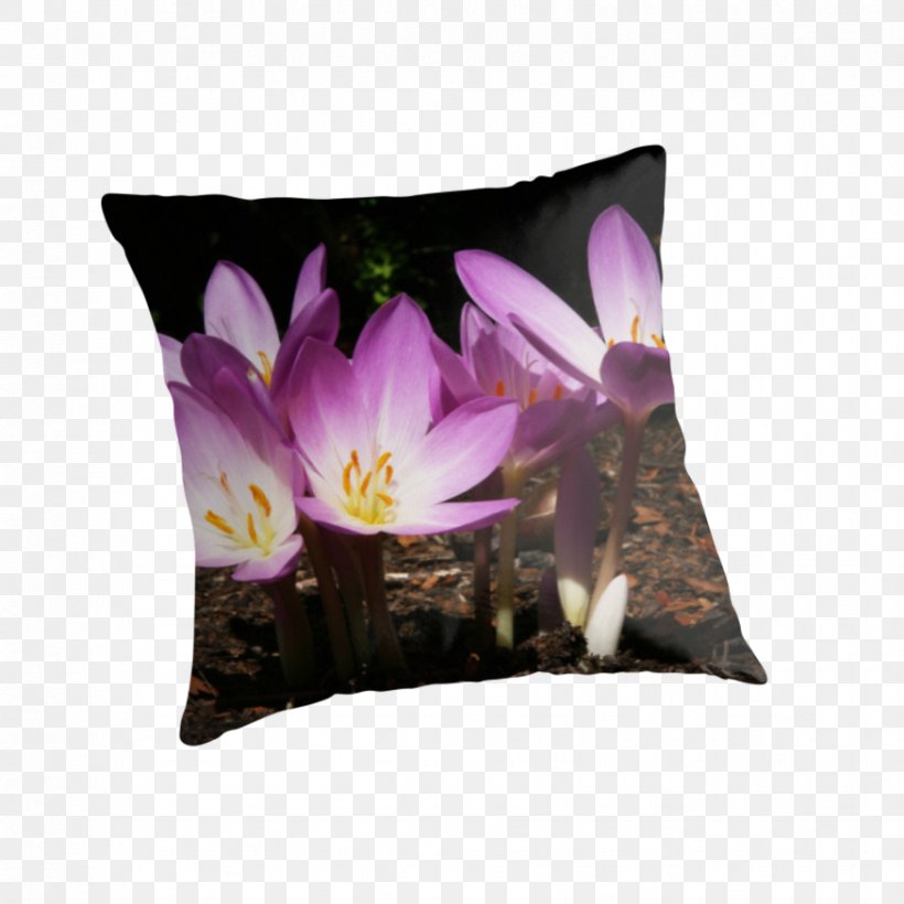 Throw Pillows Cushion Violet Flowering Plant, PNG, 875x875px, Throw Pillows, Cushion, Flower, Flowering Plant, Petal Download Free