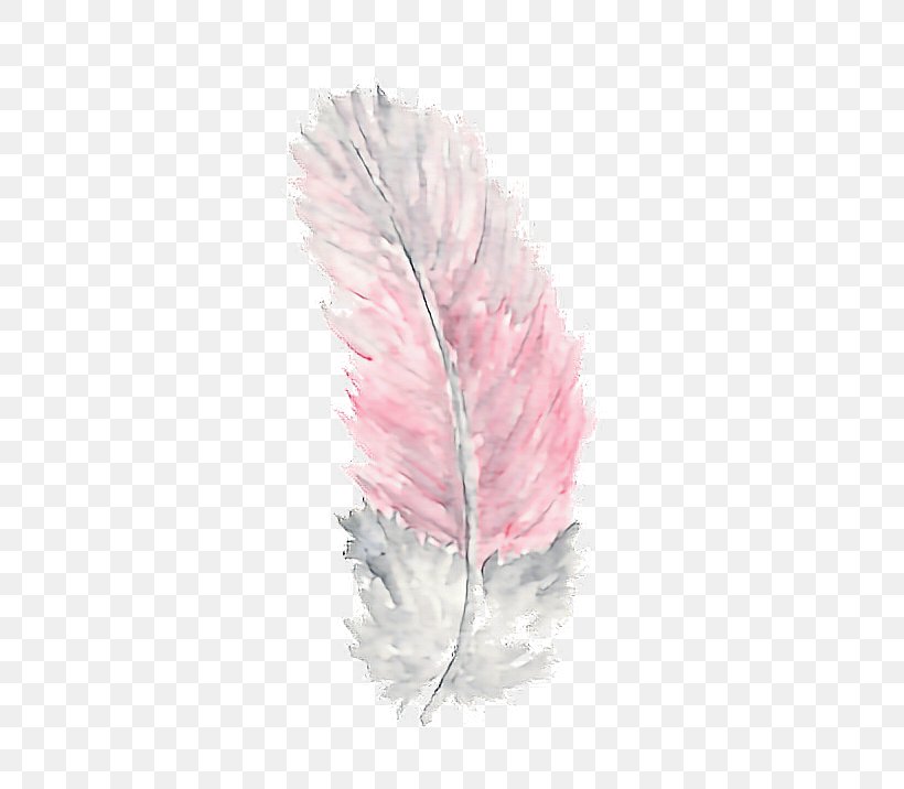 Watercolor Painting Feather Printmaking, PNG, 512x716px, Watercolor Painting, Art, Art Museum, Color, Feather Download Free