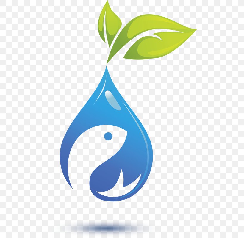 Aquaponics Hydroponics Water, PNG, 506x800px, Aquaponics, Fish, Garden, Hydroponics, Leaf Download Free