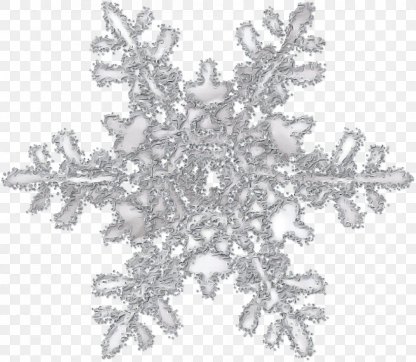 Snowflake, PNG, 954x830px, Snowflake, Crystal, Holiday Ornament, Metal Download Free