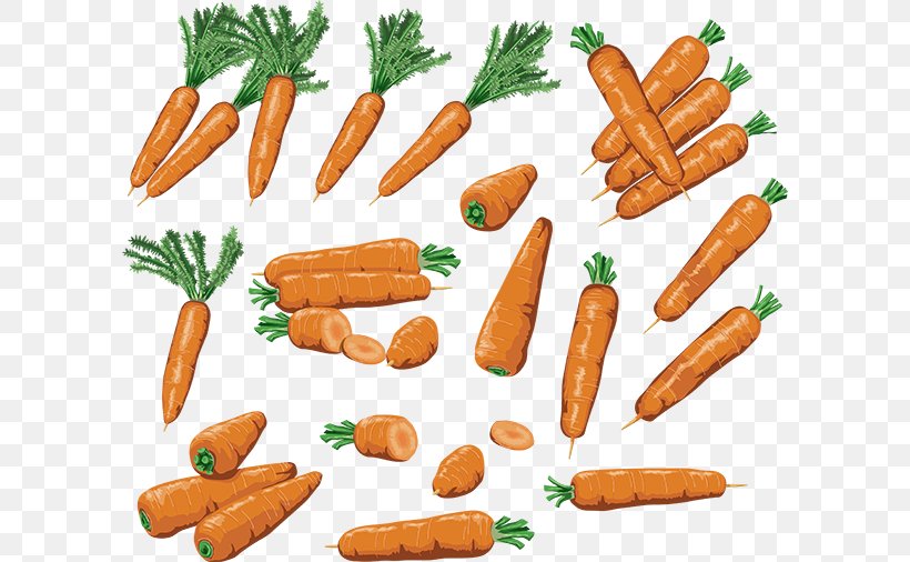 Baby Carrot Clip Art, PNG, 600x506px, Baby Carrot, Bockwurst, Breakfast Sausage, Carrot, Daucus Download Free
